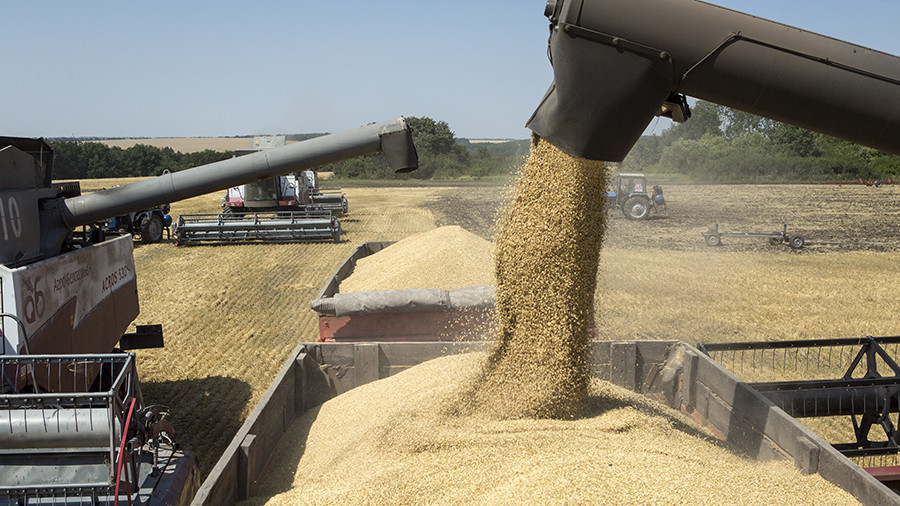 Saudi Arabia can become major hub for Russian agriculture