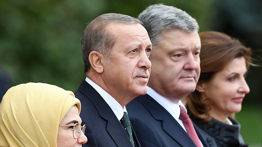 Turkey & Ukraine unlikely to join EU in near future – German FM