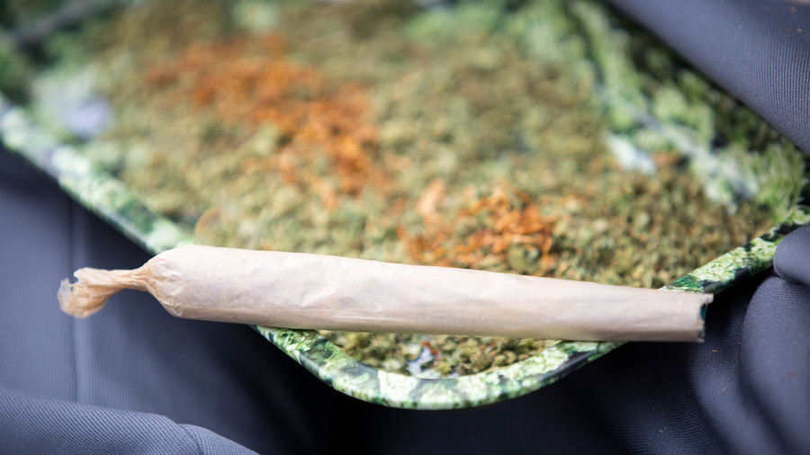 Locking people up for cannabis possession costs taxpayers £13.5mn