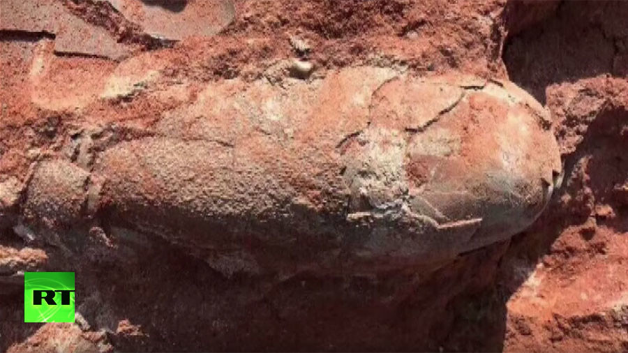 Dinosaur fossils dating back 130 million years found at building site in China (VIDEO)