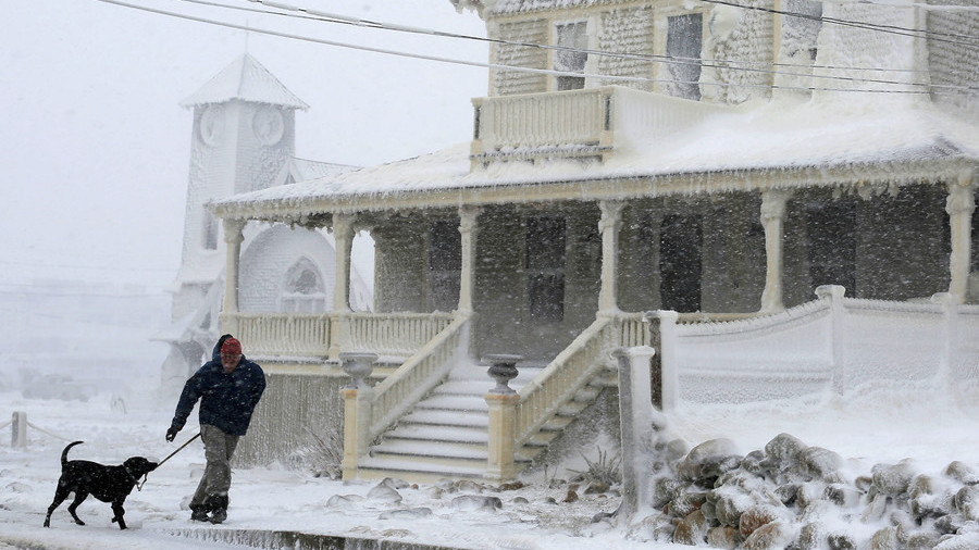 ‘Freezing to death a horrible way to die’: Ohio sheriff warns pet owners