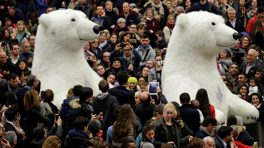 ‘Stuffed bears won’t bite’: Norway mocks Aussie travel warning of polar predator attacks