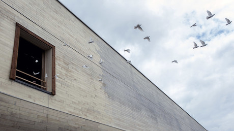 Terrified passengers crawl out of Turkish plane that slid off runway, hung over Black Sea (VIDEO)