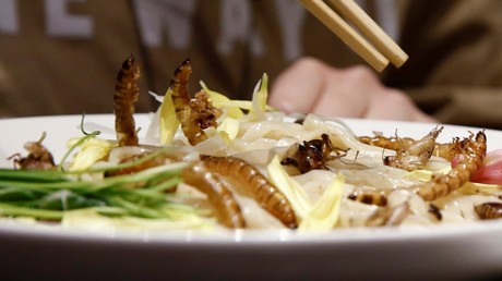 Ramen noodle topped with fried worms and crickets in a Tokyo restaurant. © Kim Kyung-Hoon