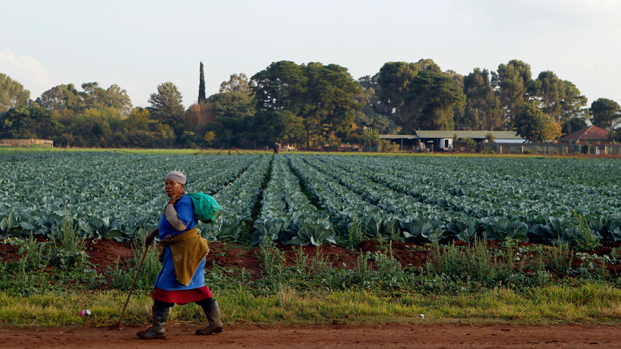  ‘Time for reconciliation over’: Thieving South Africa votes to confiscate white-owned land 5a9693f4dda4c83b758b45b1