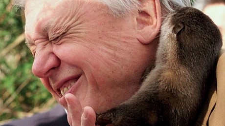 David Attenborough raves in the UK send students into jungle frenzy © Reuters/ Dylan Martinez
