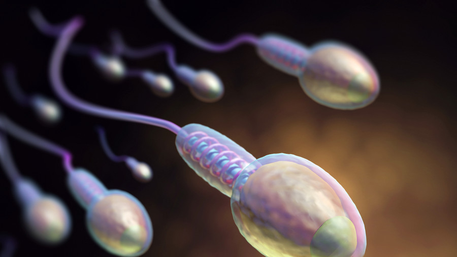 sperm count low mean means shorter study span lifespan url short finds rt health research