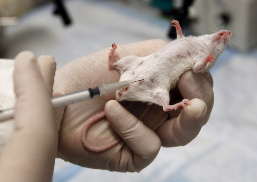 Rodent explosion: Lab ‘accidentally’ breeds 180,000 mice, conducts ...