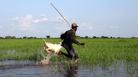 Zimbabwe 2.0? Land confiscation will damage South Africa's food production, says rights group