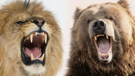 ‘Feminist strike’: International Women’s Day sees transport & work chaos in Spain (VIDEOS)