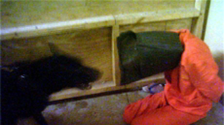 A hooded and bound prisoner being attacked by a dog in Iraq's notorious Abu Ghraib jail supposedly during interrogation by US soldiers in Baghdad in 2004.