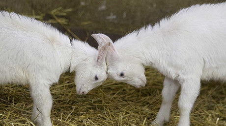 Trump threatens 20% tariffs on all European cars coming into US