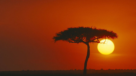 Zimbabwe 2.0? Land confiscation will damage South Africa's food production, says rights group