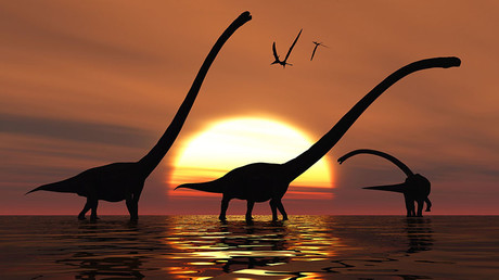 Forced to watch ISIS execution videos: 4 siblings call authorities over ‘anti-white’ parents