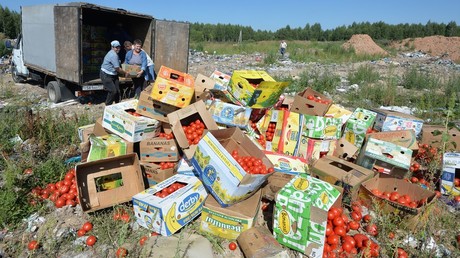 Banned tomatoes confiscated at the Russia-Belarus border are destroyed at the landfill near Gusino, Smolensk Region © Sputnik