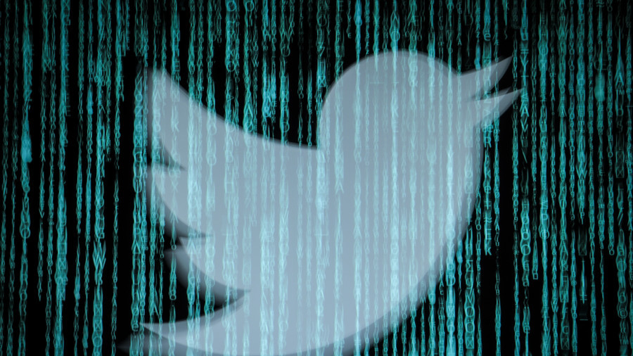 The good, the bad, and the deluded: Local elections on Twitter