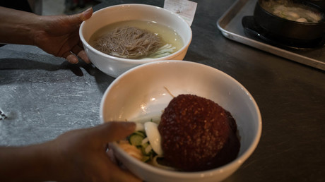 Drones vs stones: Palestinian takes down 'Israeli UAV' with rock & slingshot (VIDEO)