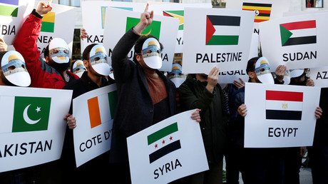 Pro-Palestinian demonstrators carry banners with flags of Muslim nations. © Murad Sezer