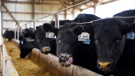 Russia to double gold extraction becoming world's second biggest producer