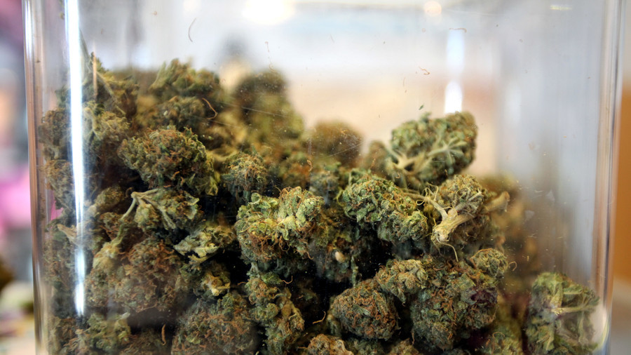 Medical cannabis could be up for sale within a year – Tory MP & campaigning GP