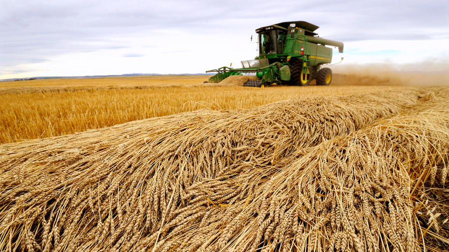 Japan suspends sale of Canadian wheat over discovery of Monsanto-made GMO