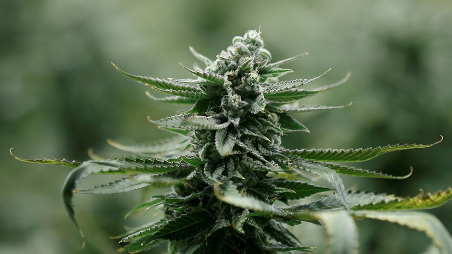 FDA approves America’s first marijuana-based medication