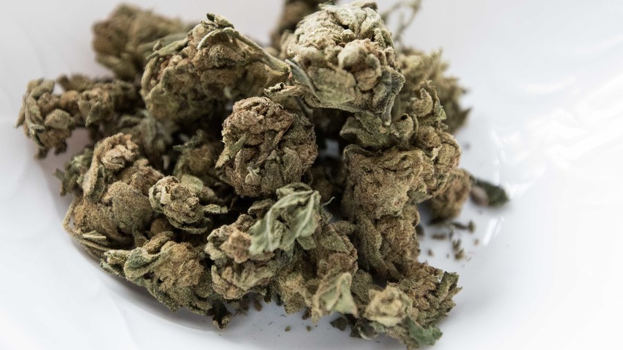 'Illegal to save children': Parents attack govt. over criminalization of medical cannabis (VIDEO)