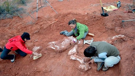 Fossils of ‘first giant’ dinosaur uncovered in Argentina (PHOTOS) 