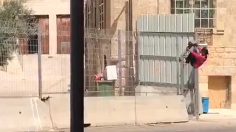 Height of resistance? Palestinian girl scales Hebron fence to reach home (VIDEO)