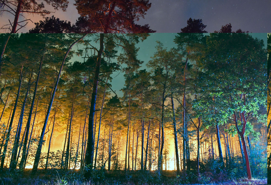 a burning forest is pictured on august 24