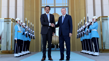 Turkish President Erdogan meets with Emir of Qatar Sheikh Tamim bin Hamad al-Thani in Ankara