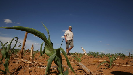 South Africa’s land expropriation could trigger default, warns agricultural bank