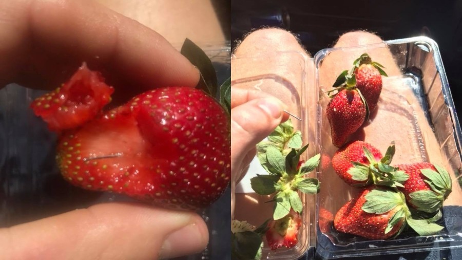 Strawberries laced with needles land Australian man in hospital; mass recall from shops
