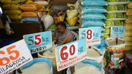 Anarchy in the UK: Police brace for riots, mull army help in case of no-deal Brexit – leaked report