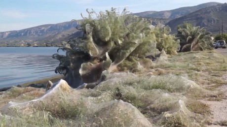 UK to set up new internet regulator to monitor ‘hate speech’ and enforce ‘code of conduct’ – report