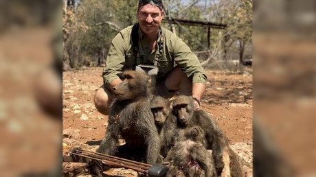 Top wildlife official resigns after posing on hunt with dead baboons & giraffe (PHOTOS)