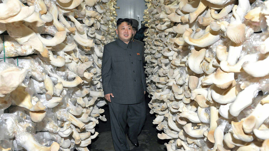 Kim’s prized mushrooms safe to eat, Seoul says after radiation test of North Korea gifts