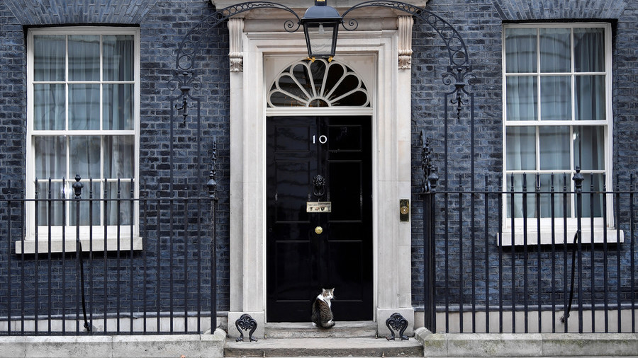 Policeman Knocks on 10 Downing Street to Let Cat In