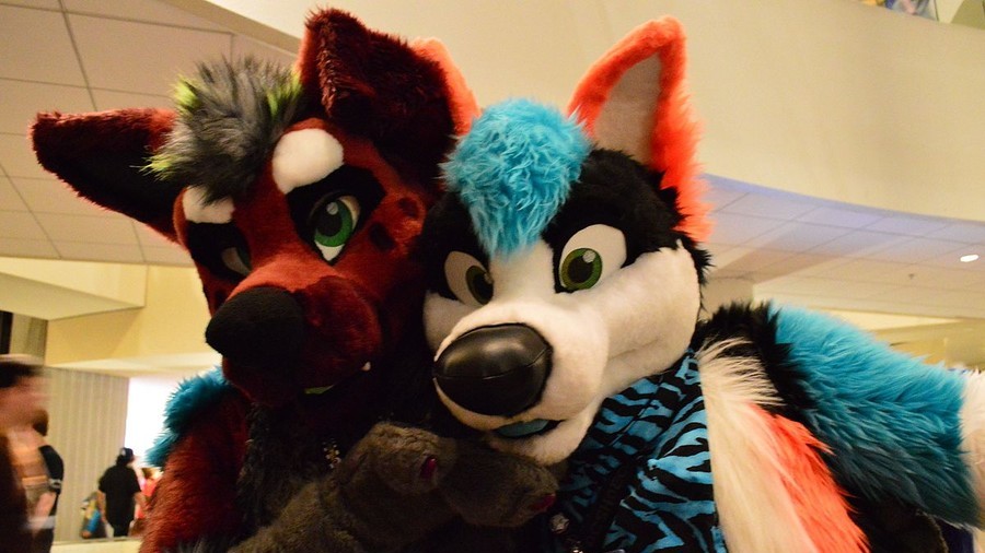 Furries Sex Convention - Animal sex fans' personal info exposed, as popular furry ...