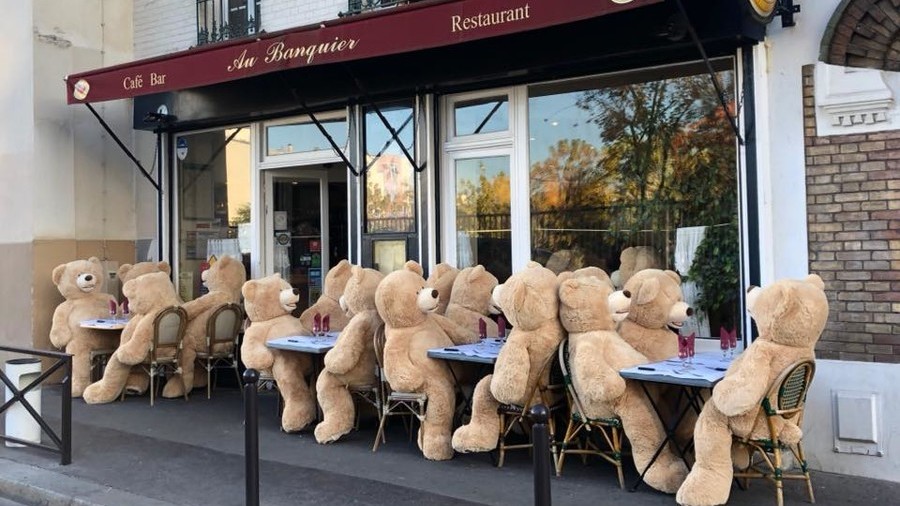 Paris Goes Bear Zerk As New ‘residents Settle In Photos — Rt World News