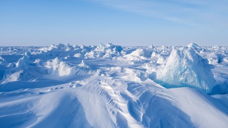 Saudi Arabia doesn’t need US permission to cut oil output – energy minister