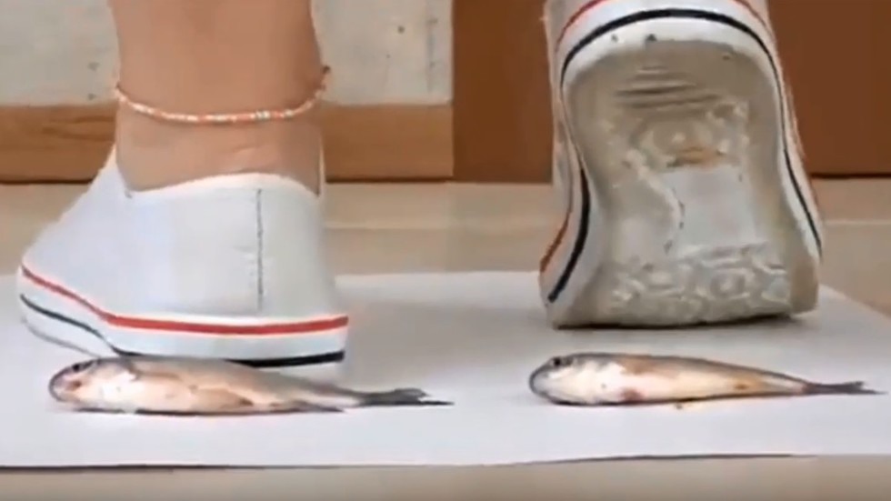 Models crushing small fish in CRUEL fetish video raise ire ...