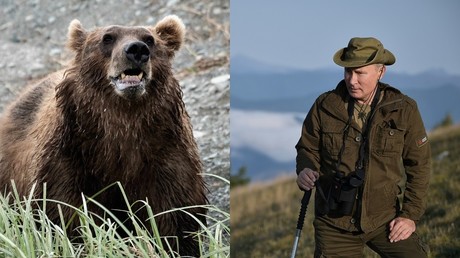 Brown bear (L) Russian President Vladimir Putin (R)