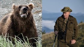 Bears Here Bears There Putin Says He Almost Got Surrounded In Russian Wilderness Rt Russia Former Soviet Union