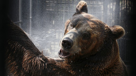 Bear market already here, brace for 20% stock plunge – Ned Davis Research