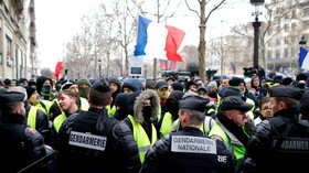 Less yellow at Champs-Elysees: Protesters march in Paris demanding Macron resign
