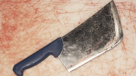 Members of Brazilian cannibal ‘sect’ who fed neighbors human flesh pastries are sentenced