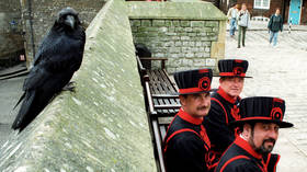 Iconic London Tower guards don yellow vests for their first strike in 55 YEARS