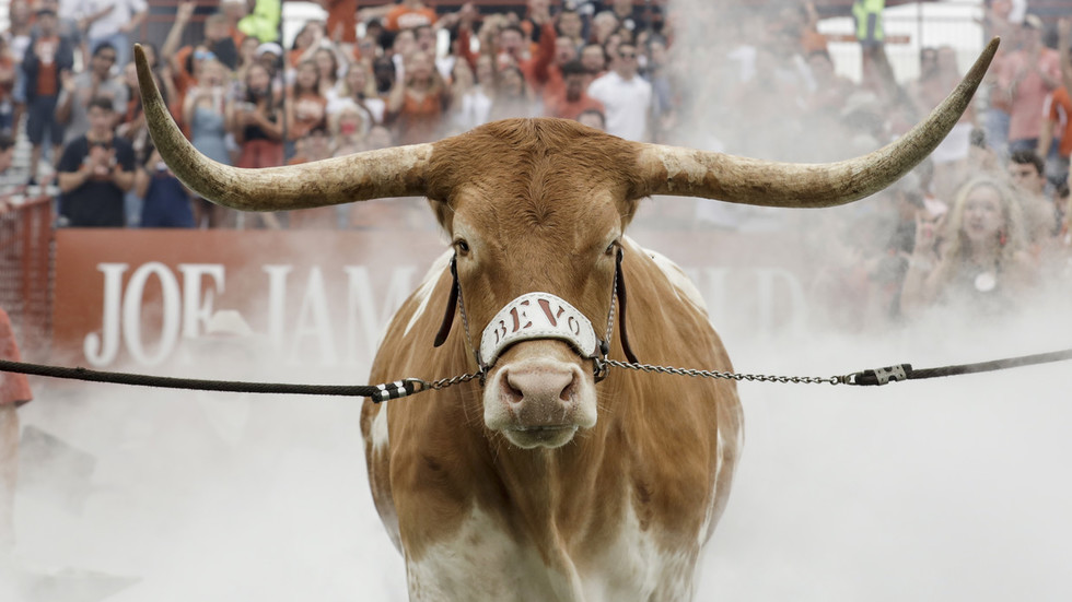 Tim Short Dodge >> Mascot madness: Huge longhorn steer charges at bulldog before US college football game (VIDEO ... Tim Short Dodge >> Mascot madness: Huge longhorn steer charges at bulldog before US college football game (VIDEO ...
