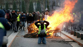 Yellow Vest agitators want insurrection to â€˜overthrow the governmentâ€™ â€“ Macron spokesman